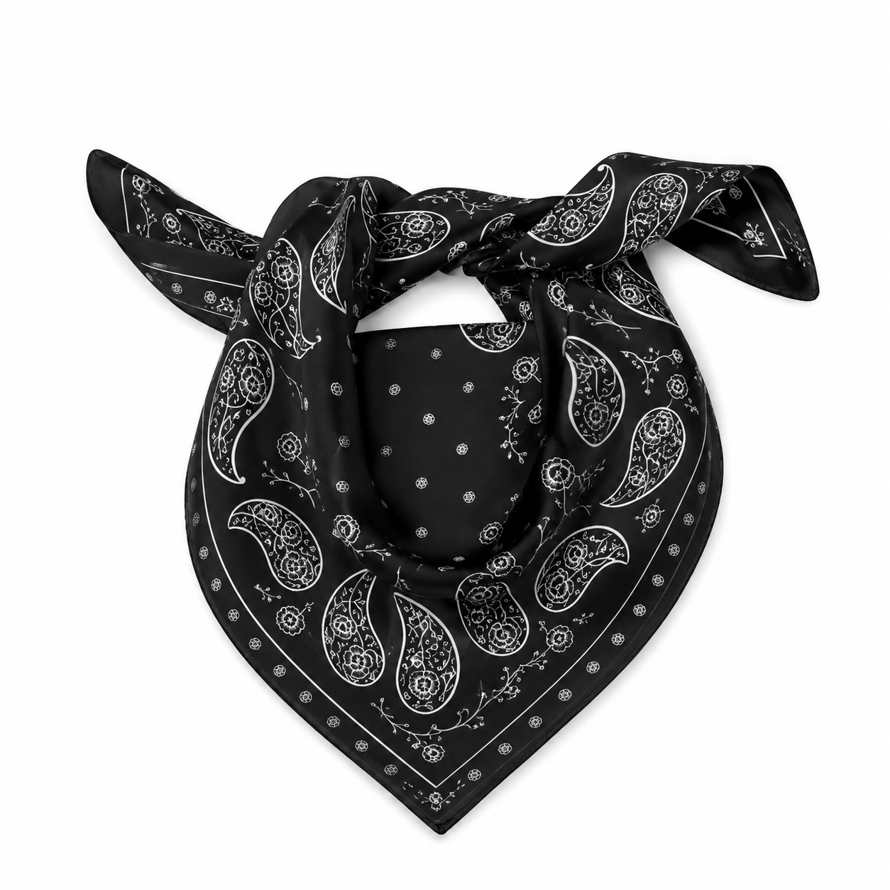 Midnight Paisley