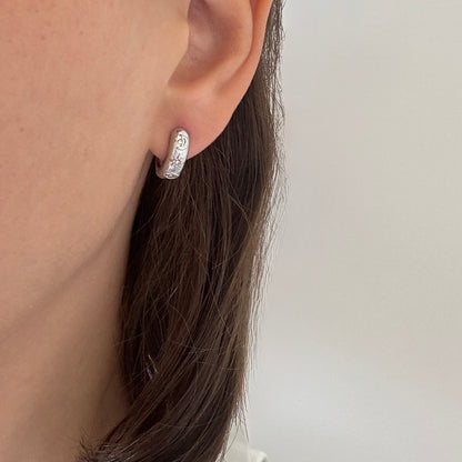 Dainty Zircon Earrings Silver