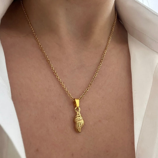 Seashell Necklace