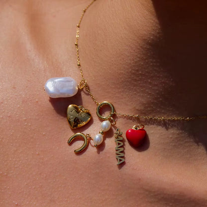 6 Removable Charms Necklace