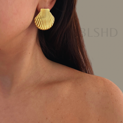 Scallop Shell Earrings
