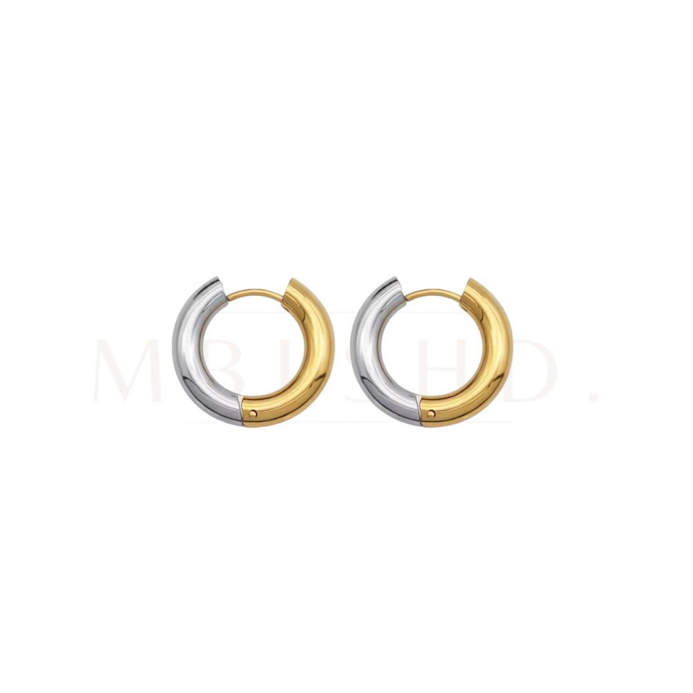 Silver and Gold Hoops