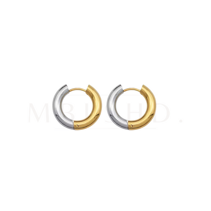 Silver and Gold Hoops