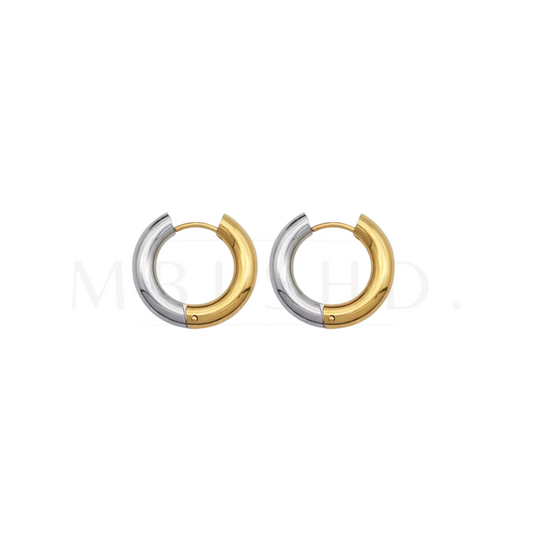 Silver and Gold Hoops