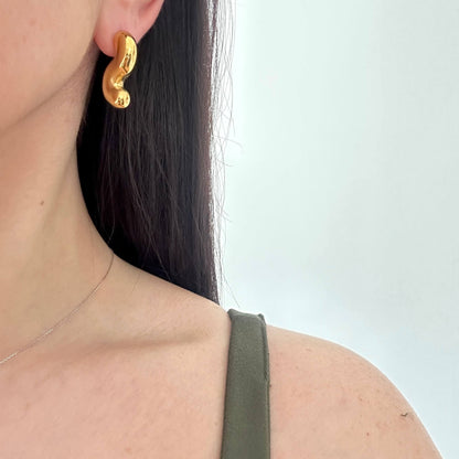 S Shaped Earrings