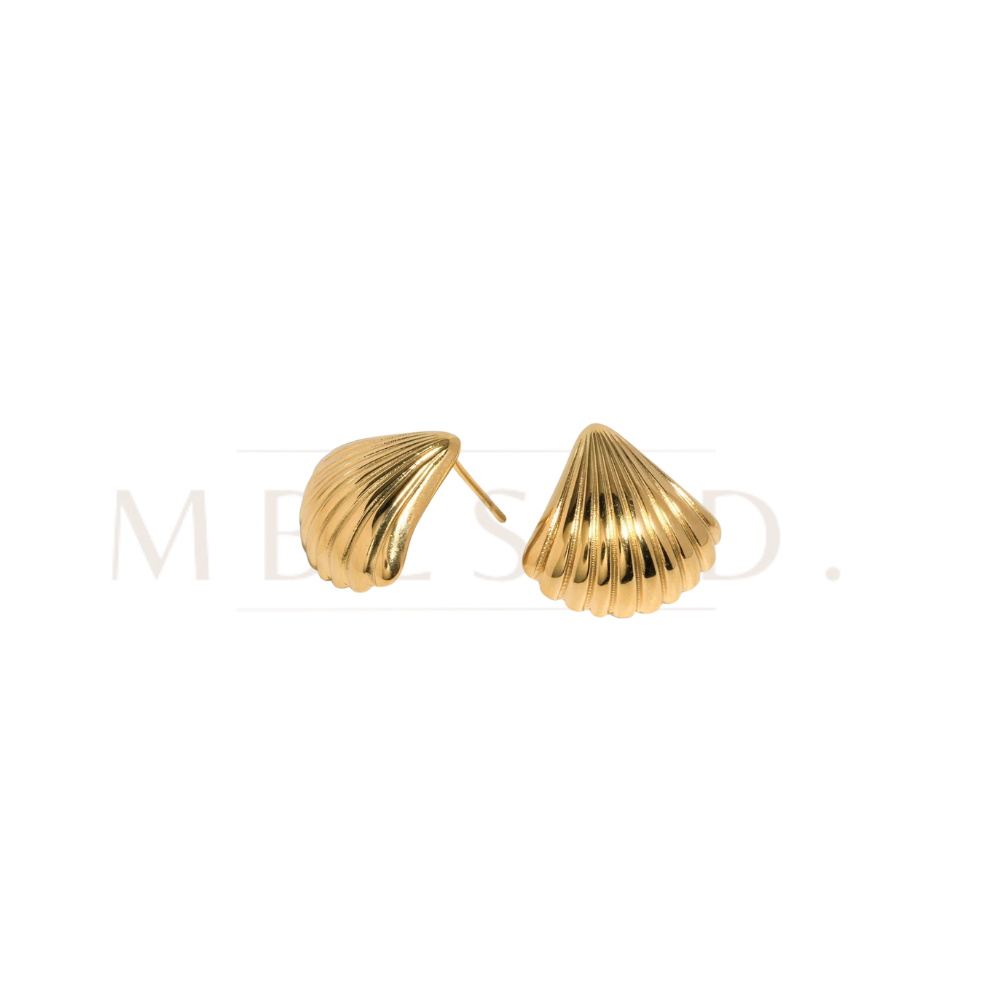 Small Shell Stud Earrings