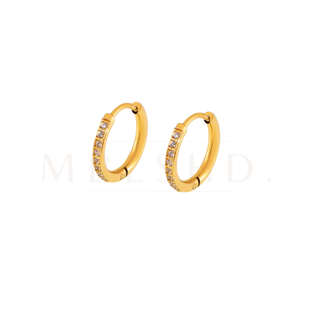 White Zircons Hoop Earrings