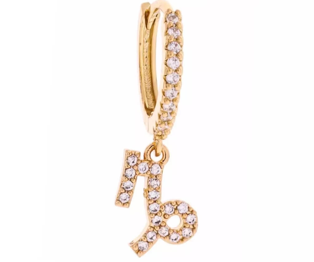 Capricorn Earrings